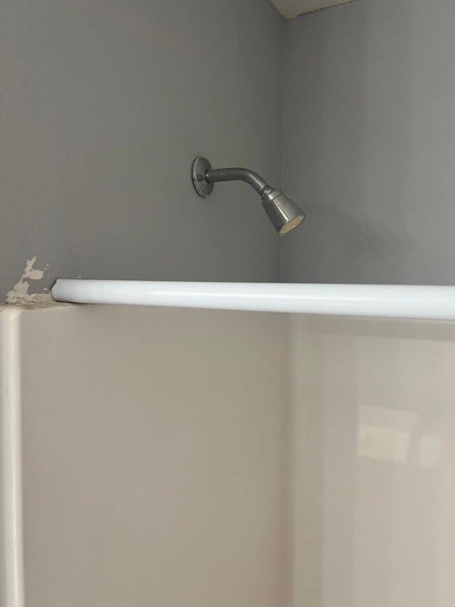 Building Photo - 1638 High Quest Cir