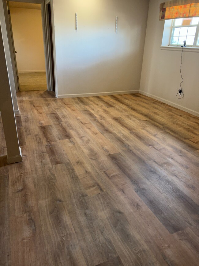 Lower level partial basement floor - 2412 Dodd Ln