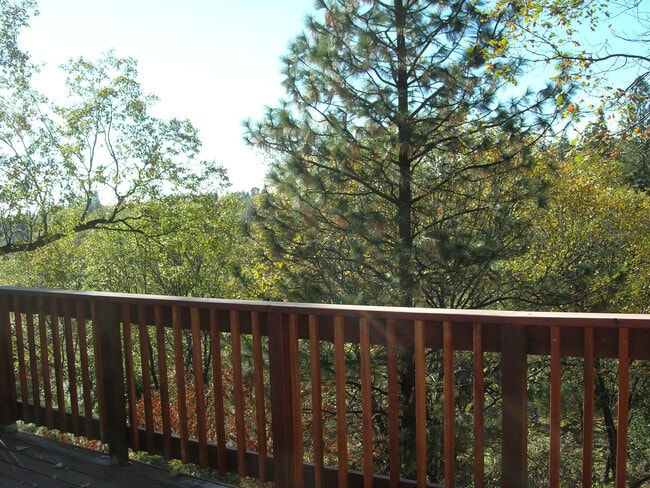 Building Photo - Very nice and comfortable Alta Sierra Home