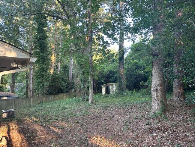backyard - 3352 Wedgewood Dr