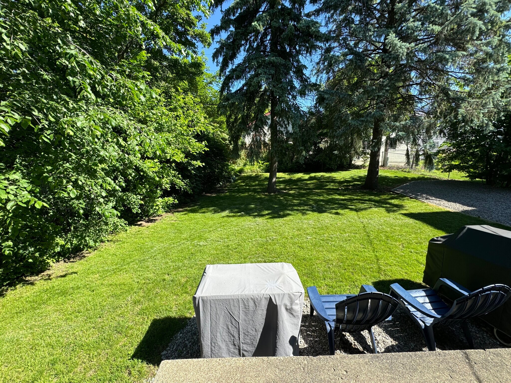 Beautiful, fenced, shared backyard - 508 W Stadium Blvd
