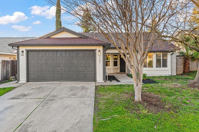 Building Photo - Beautiful 4 bedroom 2 bath home