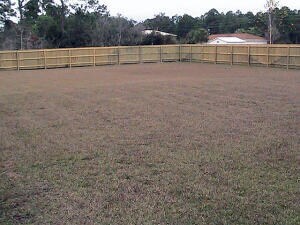 Building Photo - 8237 Nevada St