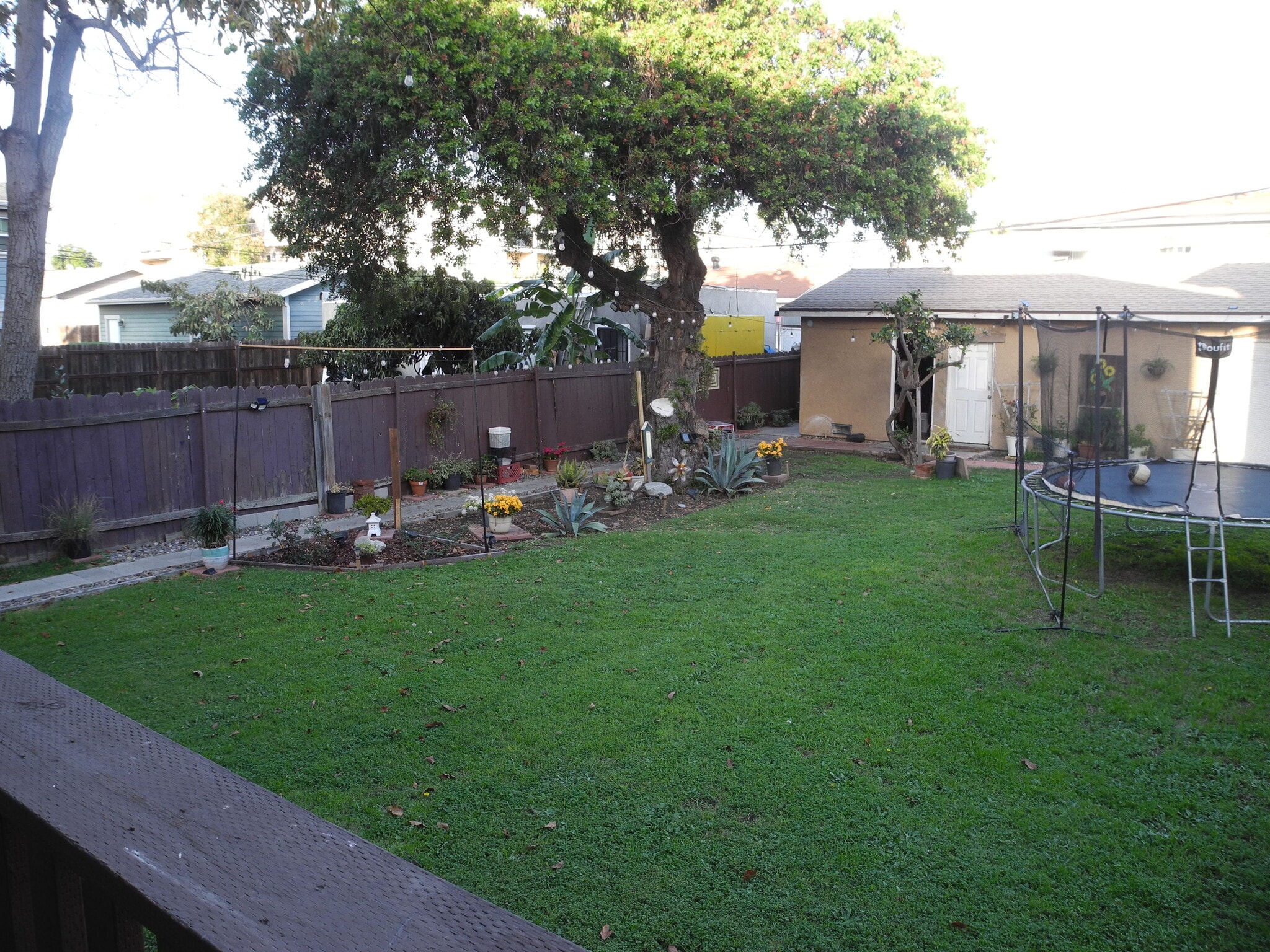 Backyard - 1934 Henderson Ave