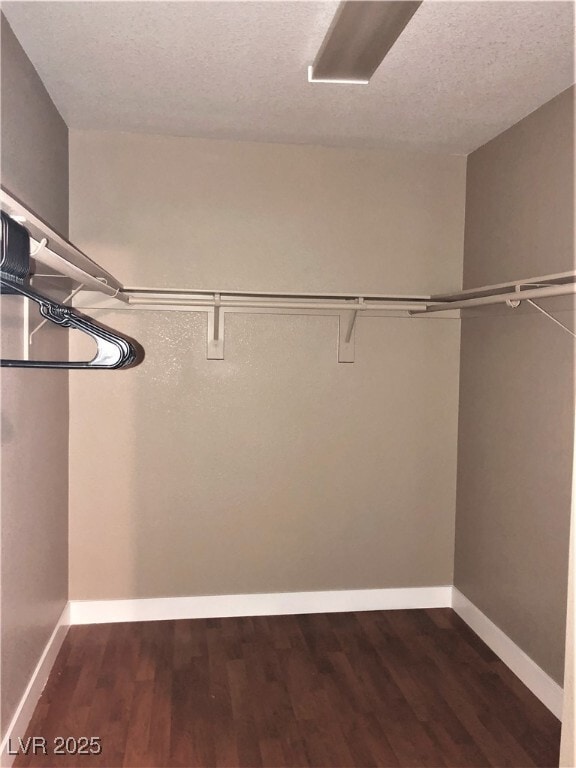 Building Photo - 5544 Donaldson Ct