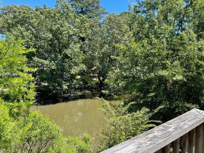 Building Photo - Beautiful Norfolk Waterfront Condo!