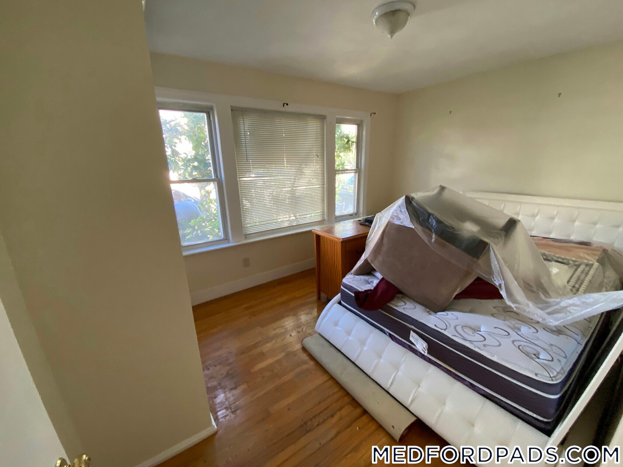 Building Photo - 569 Main St