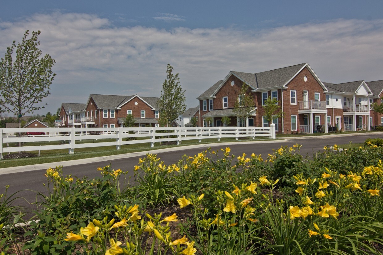 Albany Glen Columbus Oh Apartment Finder Albany Glen Columbus Oh Apartment Finder