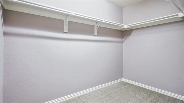 Building Photo - 3213 Carlisle St