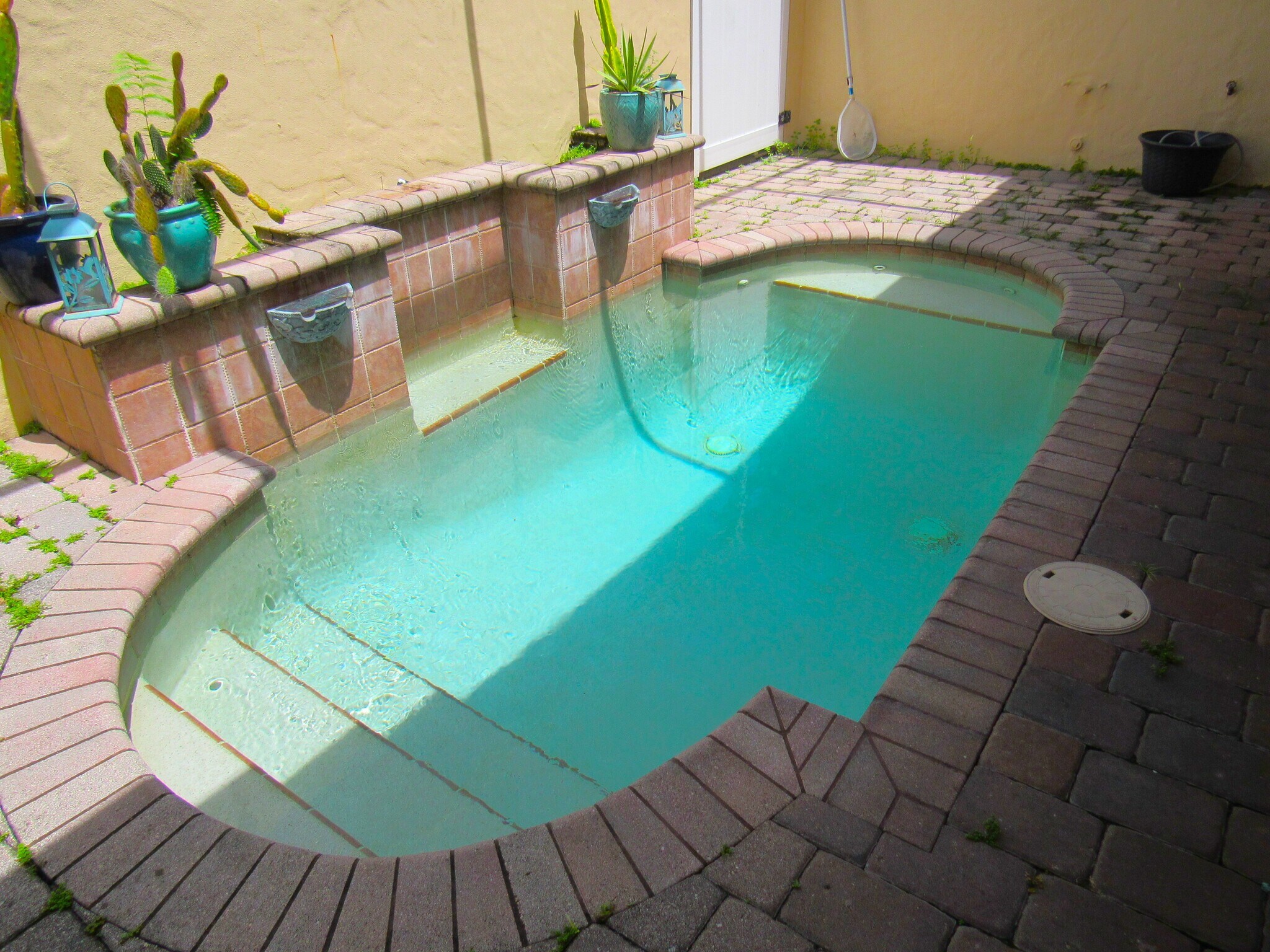 plunge pool - 3435 Torre Blvd