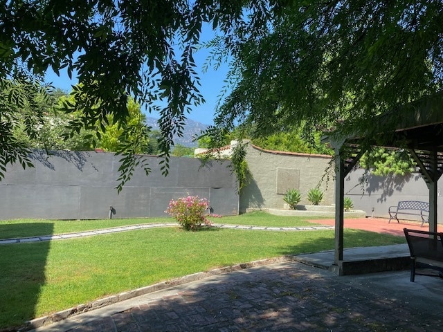 back yard - 1968 El Molino Ave