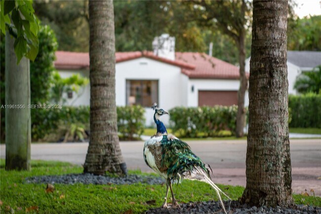 Building Photo - 360 NE 87th St