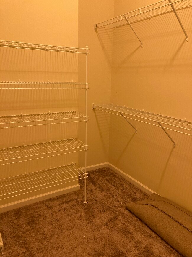 Master Walk-In Closet - 8 Lamplighter Ln