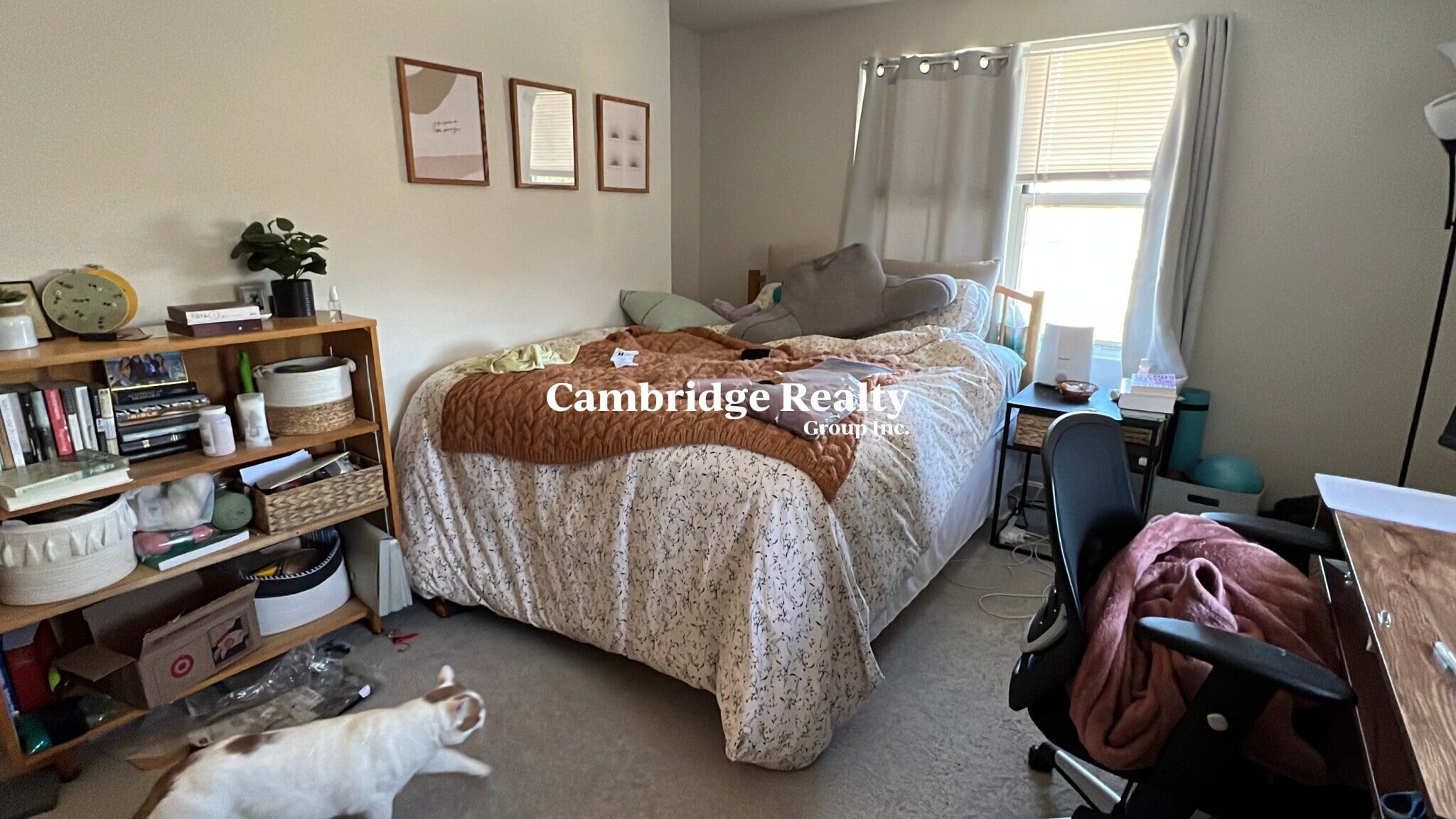 Building Photo - 151 Beacon St