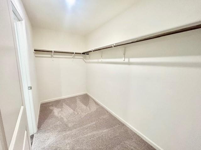 Building Photo - 4509 Firewheel Dr