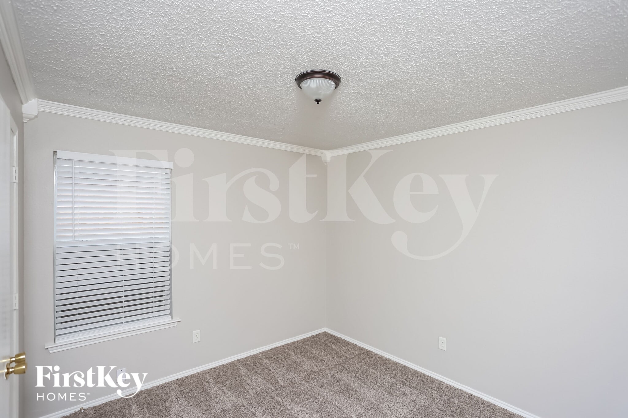 Building Photo - 433 Asbury Dr