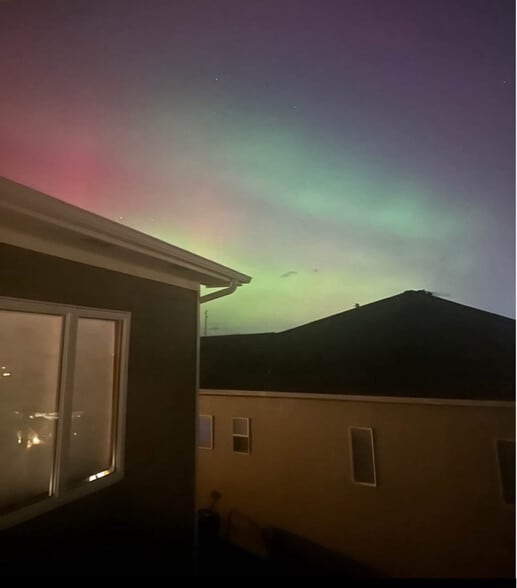 Building Photo - 1545 Capri Ct