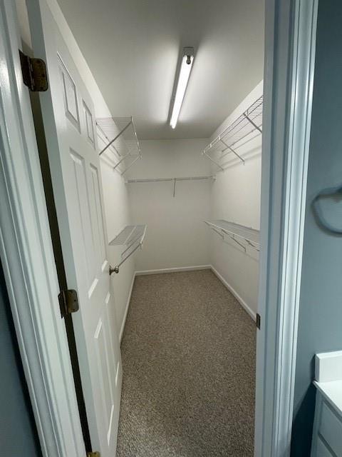 Building Photo - 2073 Merrimont Way