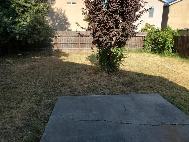 Building Photo - 430 Robinson Ave