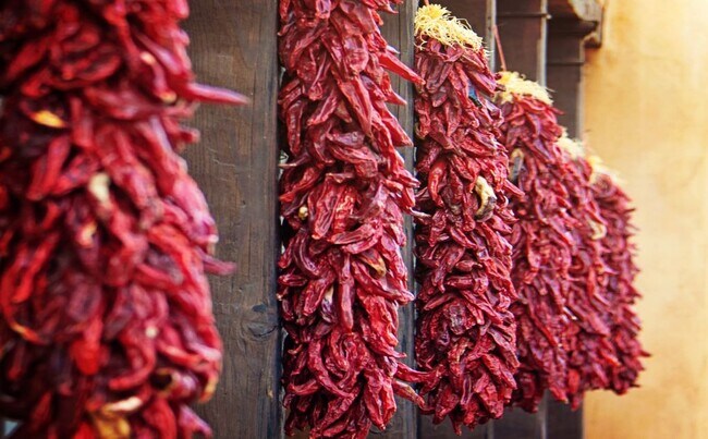 Building Photo - 1000 Marquez Plz