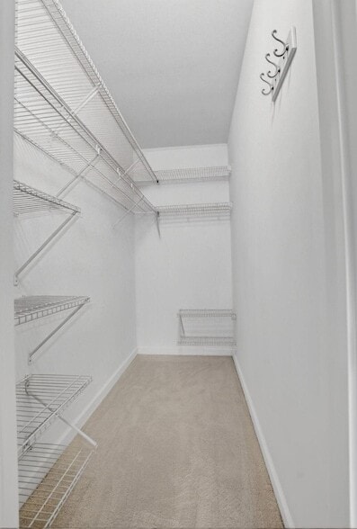 Building Photo - 277 Brighton Dr