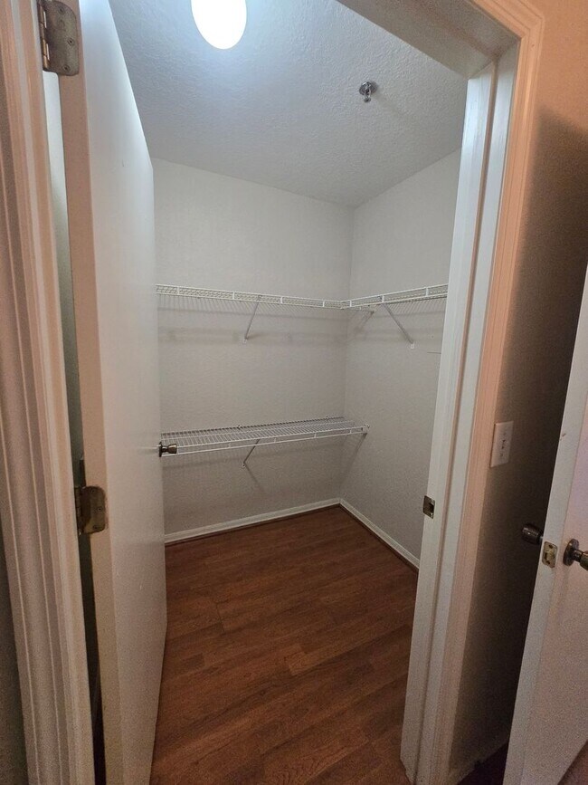 Building Photo - One bedroom one bath apartment close to USF