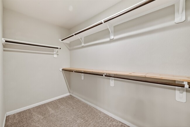 Building Photo - 3015 Lightles Manor Ct