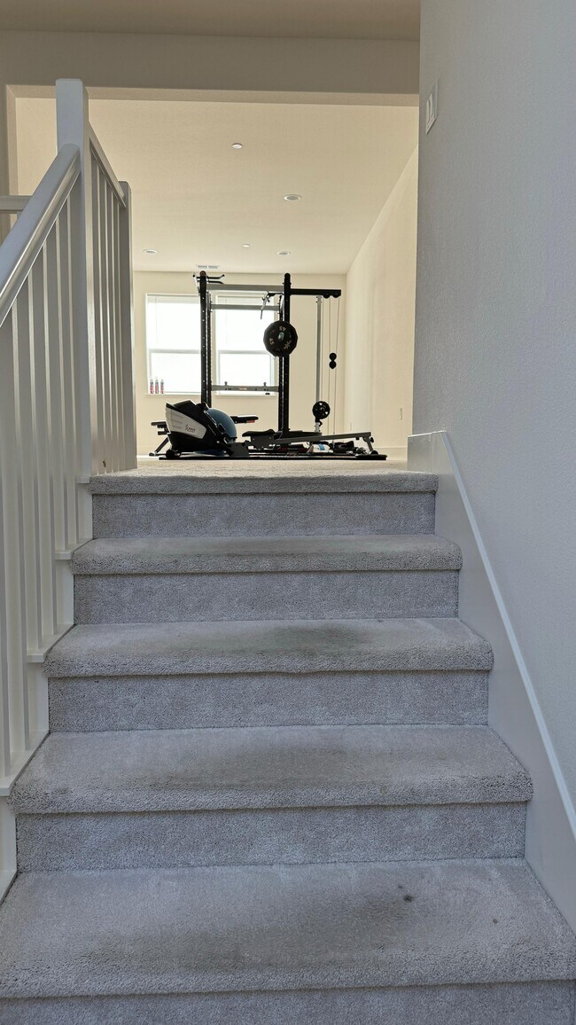 Stair Way - 2310 Mirth St