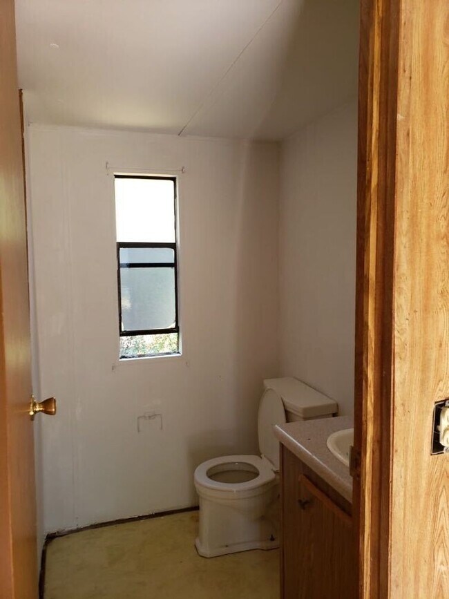 Building Photo - 539 Coconut Cir