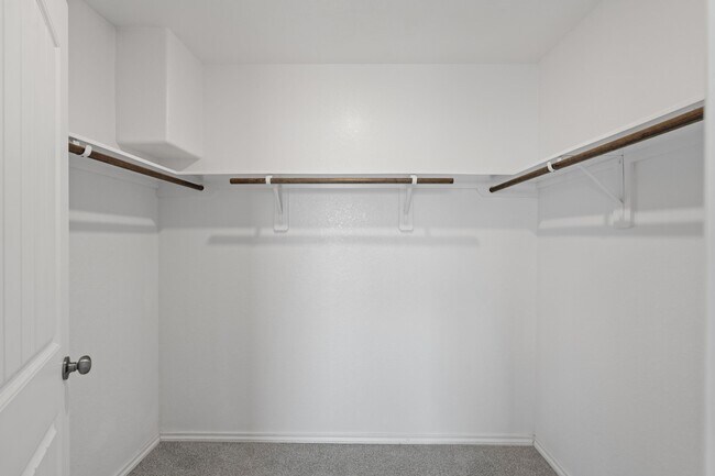 Building Photo - 25702 Bottlebrush Sedge St