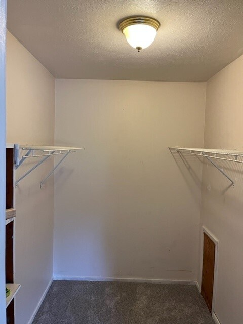 bedroom 1 closet - 23855 David Dr