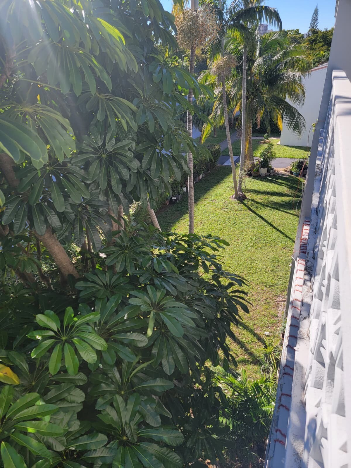 Building Photo - 2005 Sans Souci Blvd