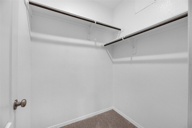 Building Photo - 24750 Russet Bluff Trl