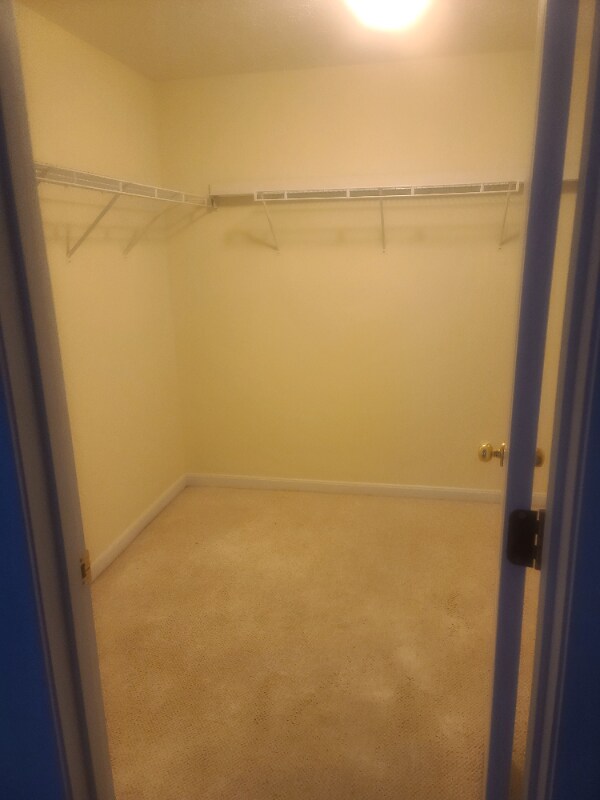 Building Photo - 2459 Aldermont Ct