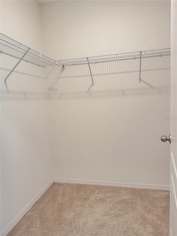 Building Photo - 1805 Rain Lily Pl