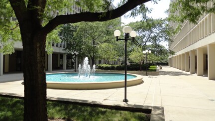 court yard - 1450 E 55th Pl