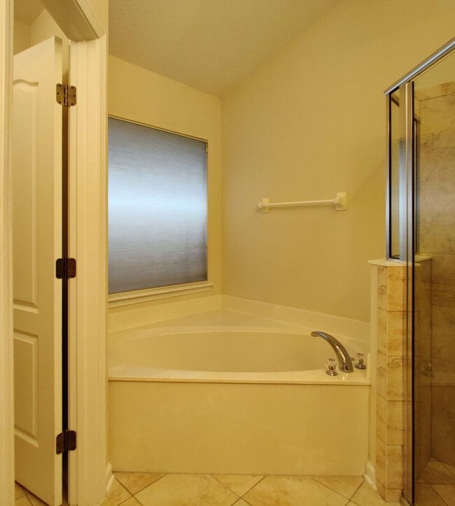 Building Photo - 3 BR  2 BA  Home Timberlake @ Oakleaf Plan...