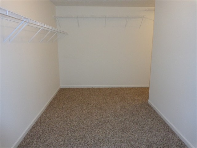 Building Photo - 3661 Morinda Dr