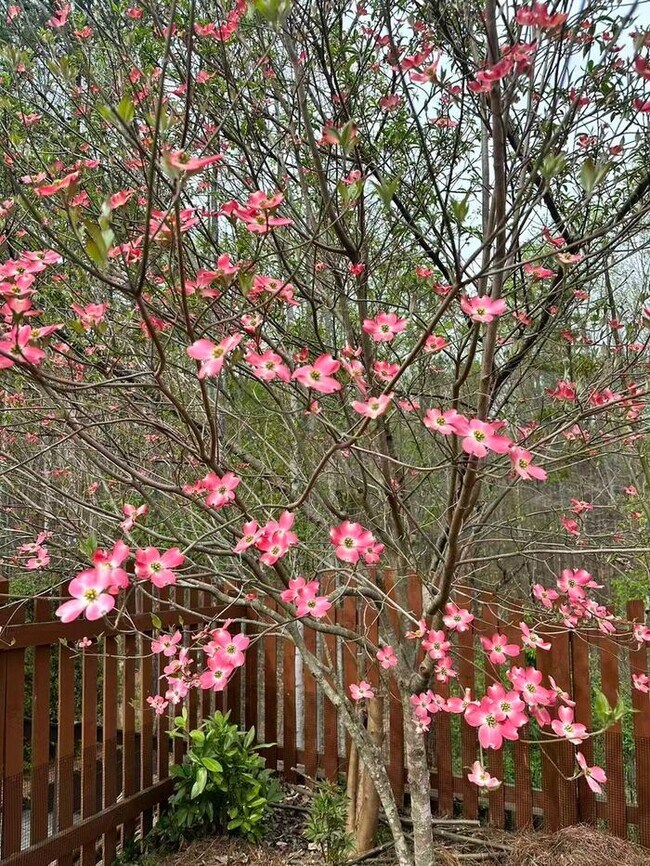 Building Photo - 12872 Waterside Dr