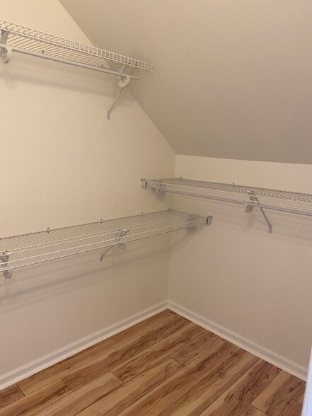 Walk-in bedroom closet - 97 Mount Soma Blvd