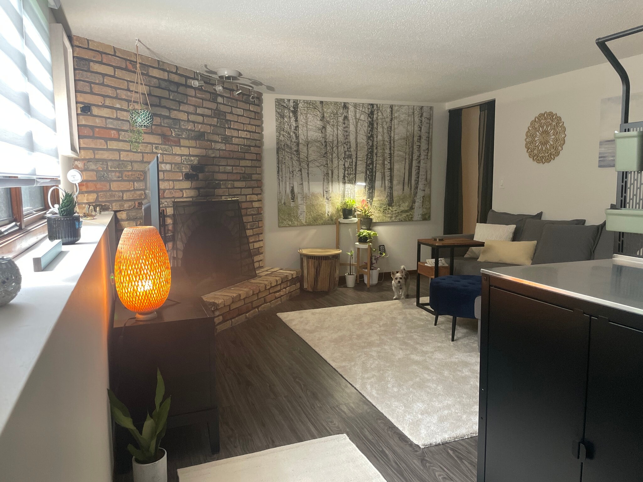Shared living room - 5665 Wood Duck Cir