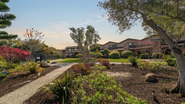 Building Photo - Modern Alameda Townhouse with Resort Style Amenities