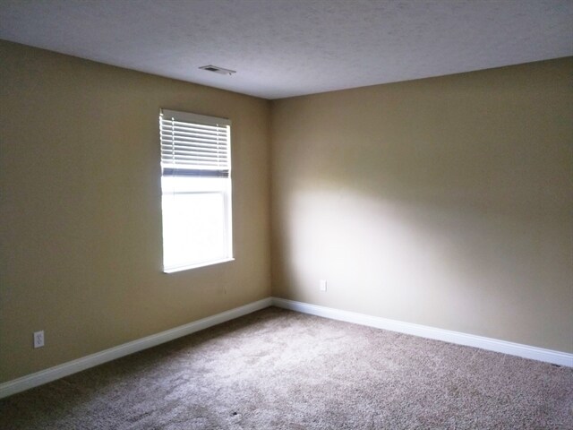 Building Photo - 4402 Coveflower Ct