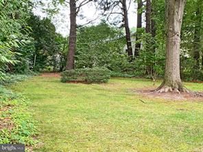 Building Photo - 204 Madison Ave