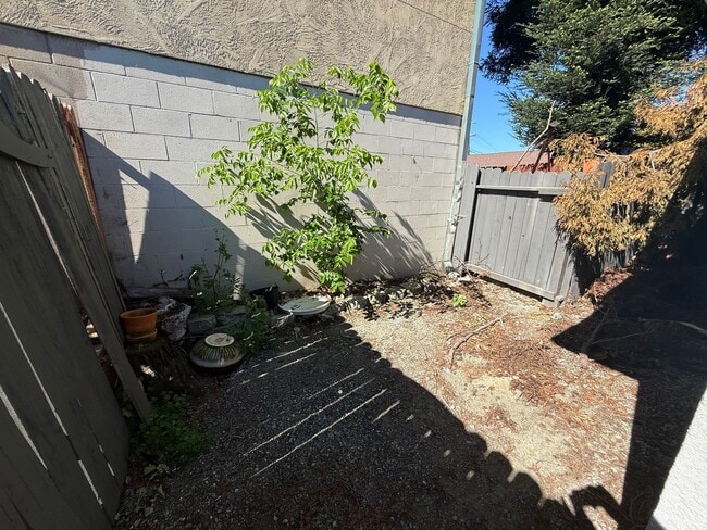 Building Photo - 1631 Frisbie Ct