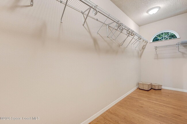 Building Photo - 178 Cove Loop Dr