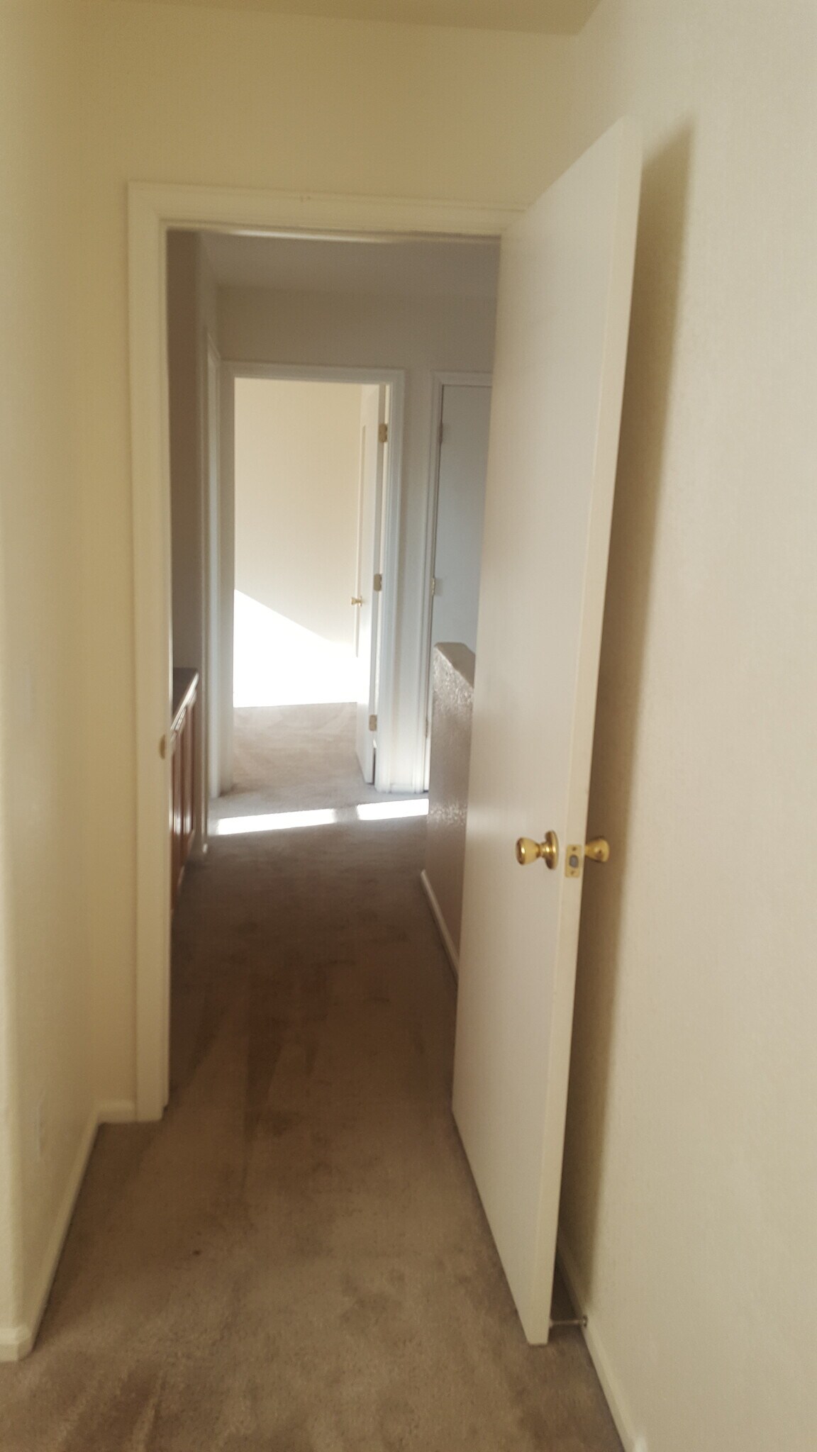 Building Photo - 4877 Halifax Street