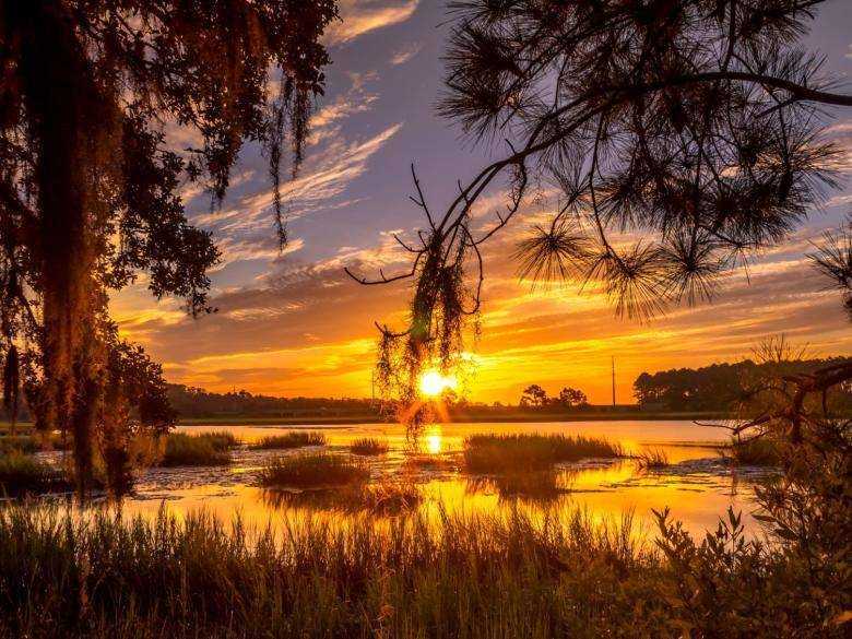 Building Photo - 20 Wilkins Rd