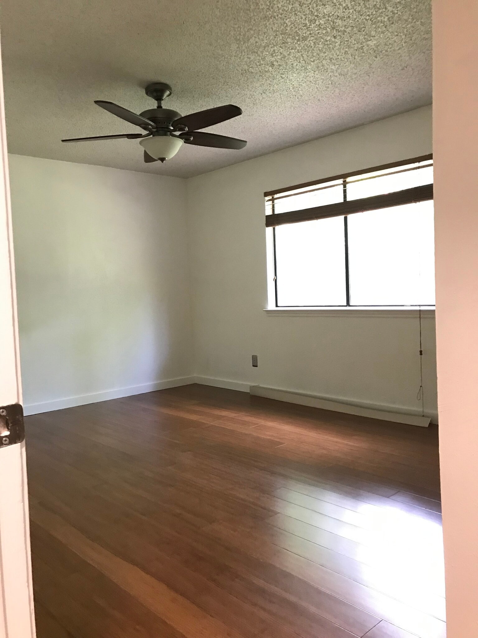 Primary bedroom with 2 closets - 8757 Birmingham Dr