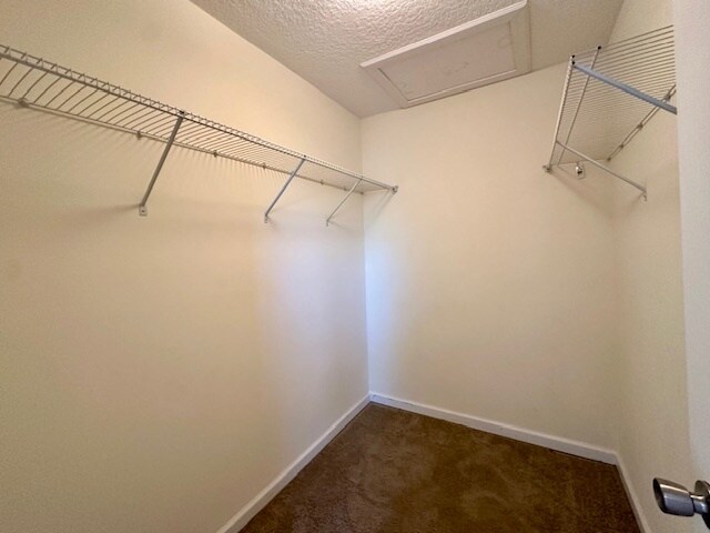 Building Photo - 3609 Vidus Ct